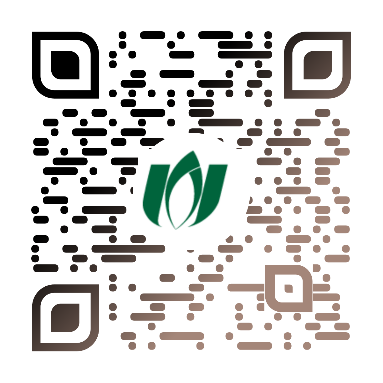 ISO 9001 MSP
